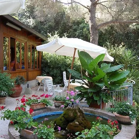 Hotel Rosa Del Tirreno
